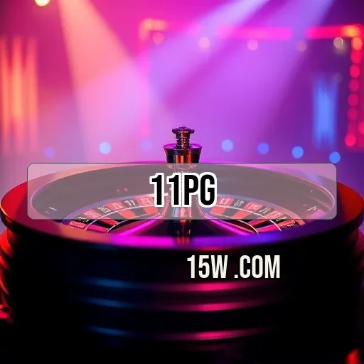 11pg.com Segurança